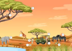 Vorschau - Arbeitsblätter - Lesespur - Safari - Seite 3