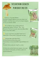 Vorschau - Unterrichtsreihen - Materialpaket Waldtiere - Differenzierte Unterrichtsreihe mit Tafelkarten - Seite 2