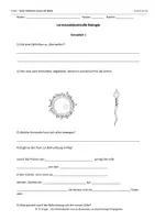 Vorschau - Arbeitsblätter - klassenarbeiten-sex-geschlechtsverkehr-klasse-9 - Seite 3