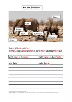 Vorschau - Arbeitsblätter - Übung zur Ein- und Mehrzahl "Elefanten" - Deckblatt