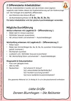 Vorschau - Mal- und Bastelvorlagen - Differenzierter Legekreis B – Anlaut & Buchstabensynthese (Wortanfang) • mit Störbildern • 2 ABs • farbig & s/w - Seite 2