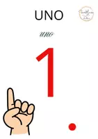 anteprima - Materiale di supporto/inclusione - Numeri da parete classe prima - Pagina 1
