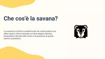 anteprima - Presentazioni / Lavagne - Pres. le piogge e le escursioni termiche della savana - Pagina 2