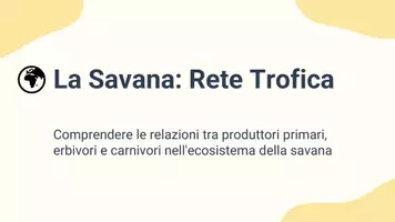 anteprima - Presentazioni / Lavagne - P. relazione erbivori, carnivori, produttori primari savana - Pagina 1