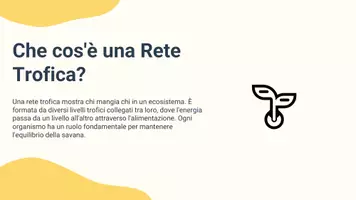 anteprima - Presentazioni / Lavagne - P. relazione erbivori, carnivori, produttori primari savana - Pagina 2