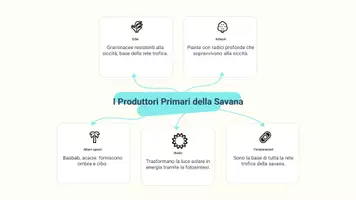 anteprima - Presentazioni / Lavagne - P. relazione erbivori, carnivori, produttori primari savana - Pagina 3