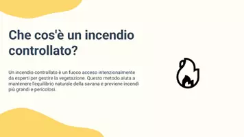 anteprima - Presentazioni / Lavagne - Pres: valutare come incendi e pascolo incidano sulla savana - Pagina 2