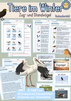 Vorschau - Unterrichtsreihen - Zugvögel Standvögel Tiere im Winter Sachunterricht Klasse 2 3 4 - Deckblatt