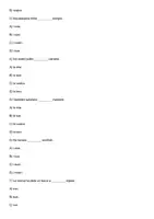 anteprima - Esercizi - Esercizi sugli aggettivi possessivi - Pagina 2