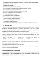 Vista previa - Evaluación - TEMA 2 EDUCACIÓN MUSICAL LOMLOE CASTELLANO - página 3