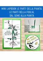 anteprima - Esercizi - 🌱 Mini Lapbook: Alla scoperta delle piante! - Pagina di copertina
