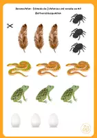 Vorschau - Spiele - Klettmappe Hexenkessel - Seite 3
