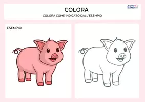 anteprima - Esercizi - OSSERVA E COLORA - Pagina 1