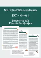 Vorschau - Arbeitsblätter - BNT Klasse 5 - Wirbellose Tiere entdecken - Deckblatt