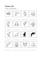 Vorschau - Arbeitsblätter - Ocean Life: Vocabulary File B1 (English) - Seite 1