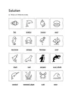 Vorschau - Arbeitsblätter - Ocean Life: Vocabulary File B1 (English) - Seite 3