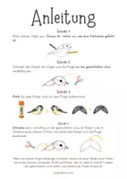 Vorschau - Mal- und Bastelvorlagen - Kohlmeise 3D Bastelbogen (Heimische Singvögel) - Seite 2