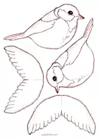 Vorschau - Mal- und Bastelvorlagen - Kohlmeise 3D Bastelbogen (Heimische Singvögel) - Seite 3