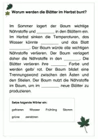 Vorschau - Arbeitsblätter - Verfärbung der Blätter Arbeitsblatt Wald - Seite 2