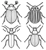 Vorschau - Mal- und Bastelvorlagen - Insekten und Spinne mit Öl Trick zur Fensterdeko - Seite 1
