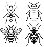Vorschau - Mal- und Bastelvorlagen - Insekten und Spinne mit Öl Trick zur Fensterdeko - Seite 2