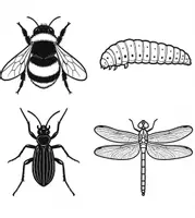Vorschau - Mal- und Bastelvorlagen - Insekten und Spinne mit Öl Trick zur Fensterdeko - Deckblatt