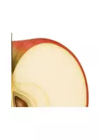 Vorschau - Poster - Der Apfel – Beschriftung & Wortkarten | Sachunterricht Klasse 1–2 - Seite 2