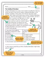 Vorschau - Arbeitsblätter - Animals in the Arctic Tundra Reading with Questions - Seite 1