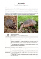 Vorschau - Klassenarbeiten - Klassenarbeit Tierbeschreibung: Südliches Kugelgürteltier - Seite 1