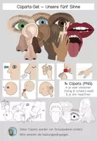 Vorschau - selbst erstellte Cliparts/Grafiken - Clipartpaket: Unsere fünf Sinne -14 Cliparts - Deckblatt