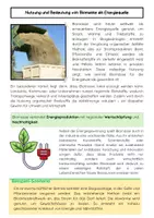 Vorschau - Arbeitsblätter - Biomasse: erneuerbare Energie & Biogas - Seite 2