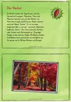 Vorschau - Präsentationen/Tafelbilder - Im Herbst - Wissensbox - Seite 2