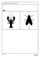 Vorschau - Spiele - Einführung in die Achsensymmetrie - Seite 3