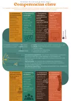 Vista previa - Otros - INFOGRAFÍAS ELEMENTOS CURRICULARES - página 2