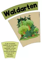 Vorschau - Arbeitsblätter - Der Wald - Komplettpaket - Seite 3
