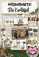 Vorschau - Merkblätter - Die Kartoffel | Wissenskartei - Deckblatt