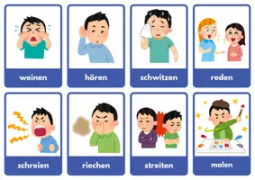 Vorschau - Bildkarten - Wortkarten - Seite 3
