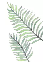 Vorschau - selbst erstellte Cliparts/Grafiken - Cliparts: Pflanzen in Wasserfarbe - Seite 1
