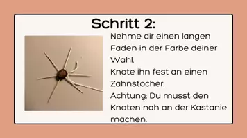 Vorschau - Mal- und Bastelvorlagen - Anleitung zum Basteln einer Spinne aus Kastanien - Seite 3