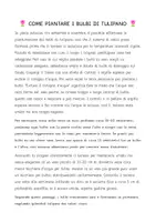 anteprima - Esperimenti - COME PIANTARE BULBI DI TULIPANI🌷 - Pagina 1