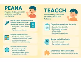 Vista previa - Para docentes: organización, planificación y formación - Metodologías específicas (PEANA TEACCH) - Portada