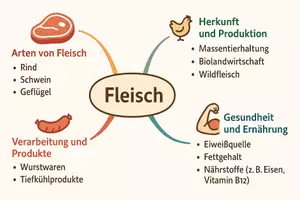 Vorschau - Arbeitsblätter - AB mit Fragen zum Thema "Fleisch" + Lösungsblatt + Mindmap + Infografik - Seite 2