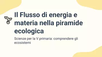 anteprima - Presentazioni / Lavagne - Analizzare il flusso di energia e materia attraverso la piramide ecologica - Pagina 1