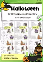 Vorschau - Spiele - Halloween – Lesezuordnungskarten - differenziert - sinnerfassendes Lesen - Deckblatt