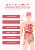 Vista previa - Unidades / Secuencias / Situaciones de Aprendizaje - CUERPO HUMANO - Portada