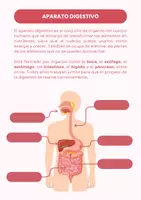 Vista previa - Unidades / Secuencias / Situaciones de Aprendizaje - CUERPO HUMANO - página 1