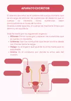 Vista previa - Unidades / Secuencias / Situaciones de Aprendizaje - CUERPO HUMANO - página 3
