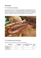 Vorschau - Klassenarbeiten - Biologieklausur: Ökologie, Neobiota, Regenwürmer in Nordamerika - Seite 1