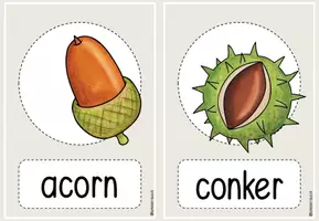 Vorschau - Präsentationen/Tafelbilder - autumn: Flascards/Bildkarten: picture and word - Seite 1