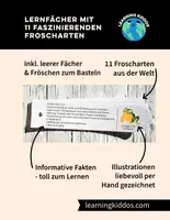 Vorschau - Stationenlernen - Lernfächer 11 Froscharten zum Basteln & Raten - Deckblatt